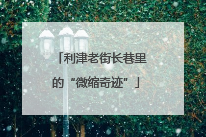 利津老街长巷里的“微缩奇迹”