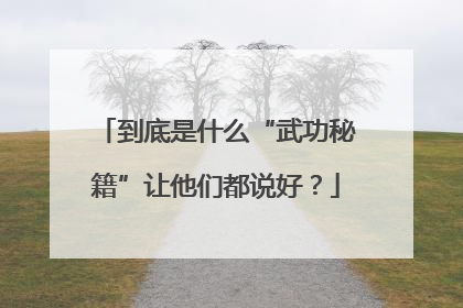 到底是什么“武功秘籍”让他们都说好？