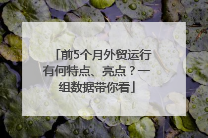 前5个月外贸运行有何特点、亮点？一组数据带你看