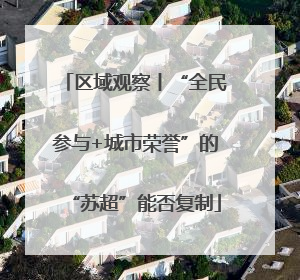 区域观察丨“全民参与+城市荣誉”的“苏超”能否复制