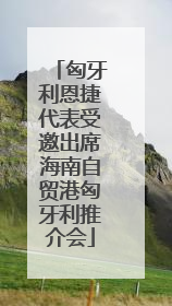 匈牙利恩捷代表受邀出席海南自贸港匈牙利推介会