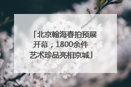 北京翰海春拍预展开幕，1800余件艺术珍品亮相京城