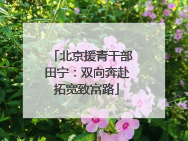 北京援青干部田宁：双向奔赴拓宽致富路