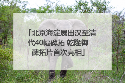 北京海淀展出汉至清代40幅碑拓 乾隆御碑拓片首次亮相