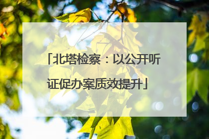 北塔检察：以公开听证促办案质效提升