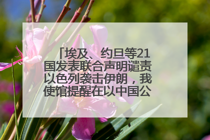 埃及、约旦等21国发表联合声明谴责以色列袭击伊朗，我使馆提醒在以中国公民尽快陆路离境
