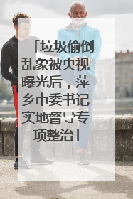 垃圾偷倒乱象被央视曝光后，萍乡市委书记实地督导专项整治