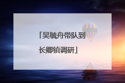 吴毓舟带队到长卿镇调研