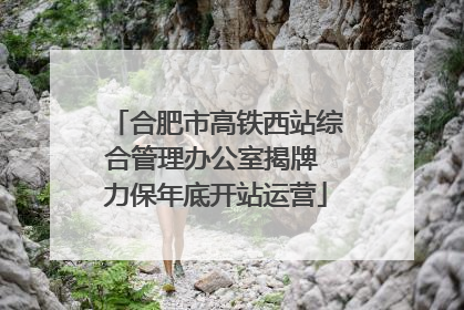 合肥市高铁西站综合管理办公室揭牌 力保年底开站运营