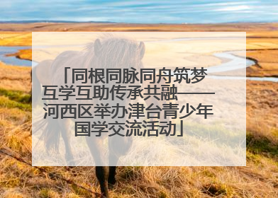 同根同脉同舟筑梦 互学互助传承共融——河西区举办津台青少年国学交流活动