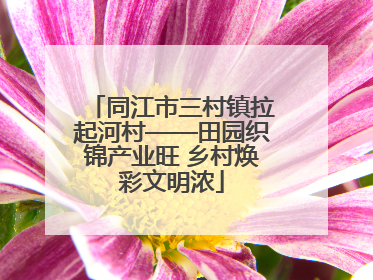同江市三村镇拉起河村——田园织锦产业旺 乡村焕彩文明浓