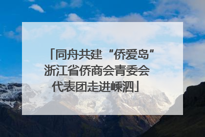 同舟共建“侨爱岛” 浙江省侨商会青委会代表团走进嵊泗