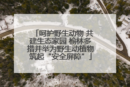 呵护野生动物 共建生态家园 榆林多措并举为野生动植物筑起“安全屏障”