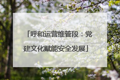 呼和运营维管段：党建文化赋能安全发展
