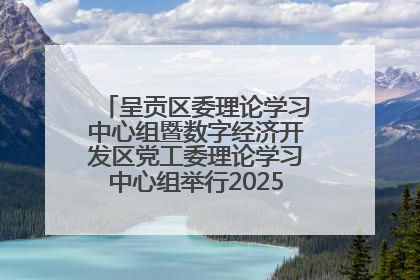 呈贡区委理论学习中心组暨数字经济开发区党工委理论学习中心组举行2025年第七次学习会议