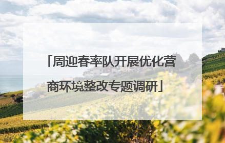 周迎春率队开展优化营商环境整改专题调研