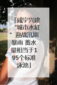 咸宁兴建“城市水缸”迎战汛期暴雨 蓄水量相当于195个标准泳池