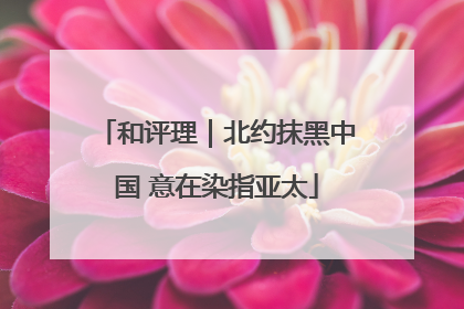 和评理｜北约抹黑中国 意在染指亚太