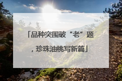 品种突围破“老”题，珍珠油桃写新篇