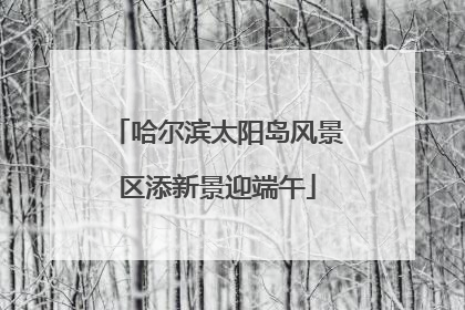 哈尔滨太阳岛风景区添新景迎端午
