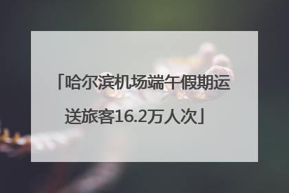 哈尔滨机场端午假期运送旅客16.2万人次