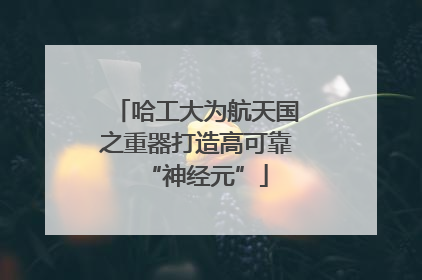 哈工大为航天国之重器打造高可靠“神经元”