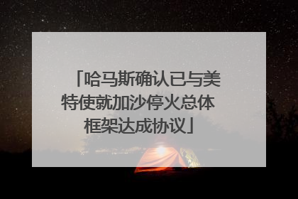 哈马斯确认已与美特使就加沙停火总体框架达成协议