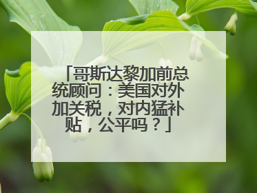 哥斯达黎加前总统顾问：美国对外加关税，对内猛补贴，公平吗？