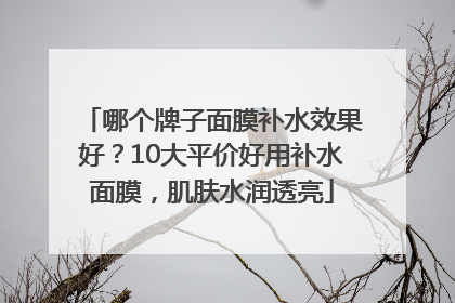 哪个牌子面膜补水效果好？10大平价好用补水面膜，肌肤水润透亮