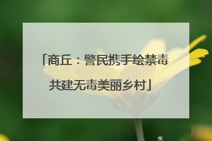 商丘：警民携手绘禁毒 共建无毒美丽乡村