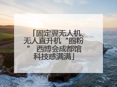 固定翼无人机、无人直升机“圈粉” 西博会成都馆科技感满满