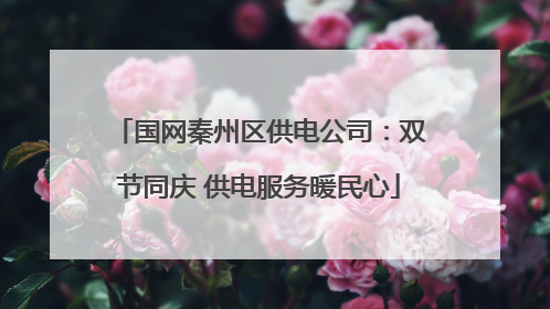 国网秦州区供电公司：双节同庆 供电服务暖民心