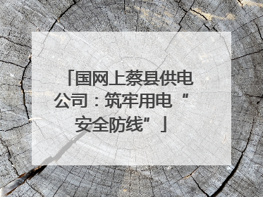 国网上蔡县供电公司：筑牢用电“安全防线”
