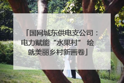 国网城东供电支公司：电力赋能“水果村” 绘就美丽乡村新画卷
