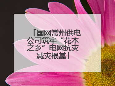 国网常州供电公司筑牢“花木之乡”电网抗灾减灾根基
