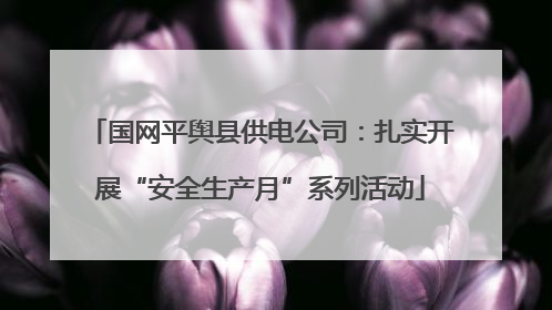 国网平舆县供电公司：扎实开展“安全生产月”系列活动
