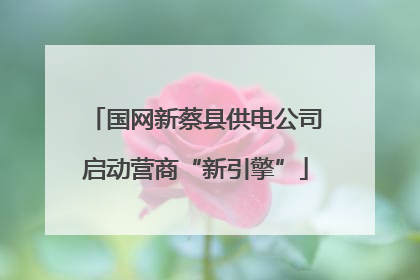 国网新蔡县供电公司启动营商“新引擎”