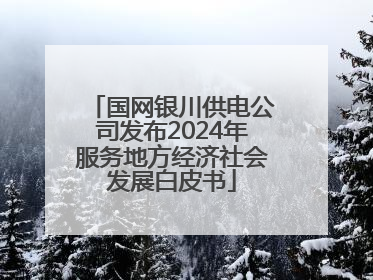 国网银川供电公司发布2024年服务地方经济社会发展白皮书