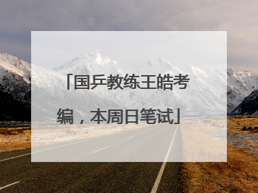 国乒教练王皓考编，本周日笔试
