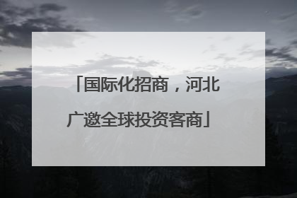 国际化招商，河北广邀全球投资客商