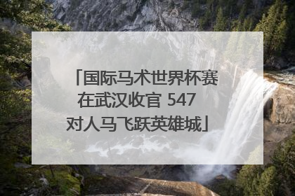 国际马术世界杯赛在武汉收官 547对人马飞跃英雄城