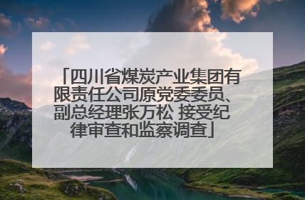 四川省煤炭产业集团有限责任公司原党委委员、副总经理张万松 接受纪律审查和监察调查