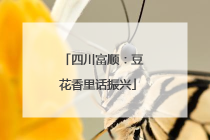 四川富顺：豆花香里话振兴