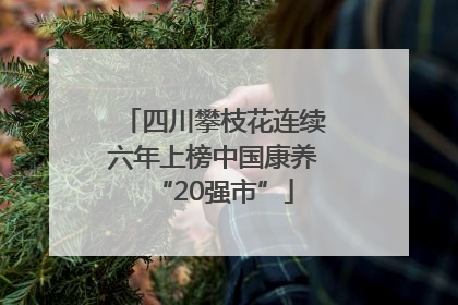 四川攀枝花连续六年上榜中国康养“20强市”