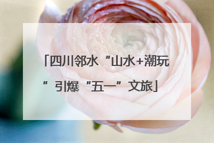 四川邻水“山水+潮玩”引爆“五一”文旅