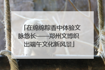 在绵绵粽香中体验文脉悠长——郑州文博织出端午文化新风景