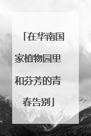 在华南国家植物园里和芬芳的青春告别