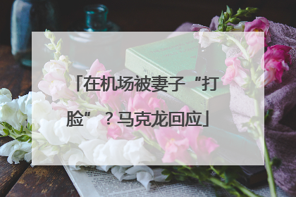 在机场被妻子“打脸”？马克龙回应