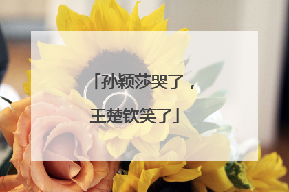 孙颖莎哭了，王楚钦笑了