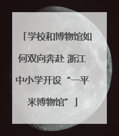 学校和博物馆如何双向奔赴 浙江中小学开设“一平米博物馆”
